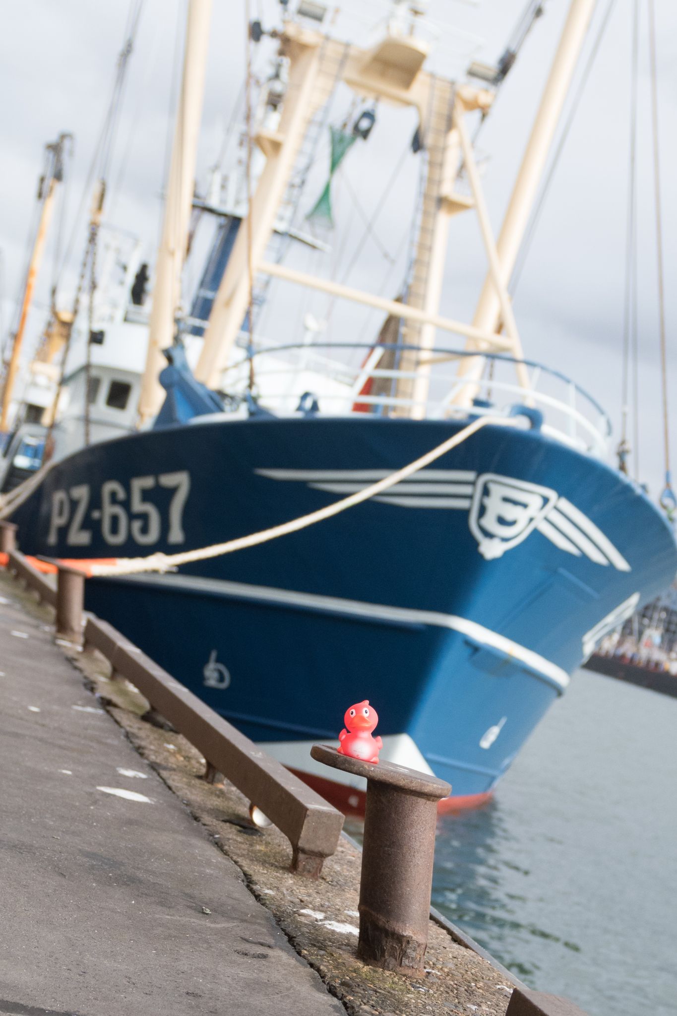 20230304   Fotoshoot IJmuiden   021